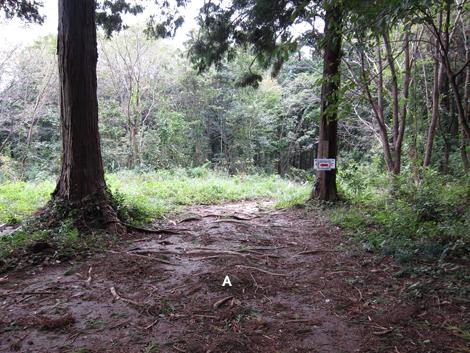 20191017hike (46)